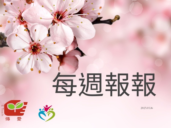 週報