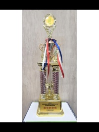 新興據點 榮獲衛服部國民健康署辦理-長者活躍老化競賽「2025阿公阿嬤活力Show大賽」全國總決賽 最佳創意獎